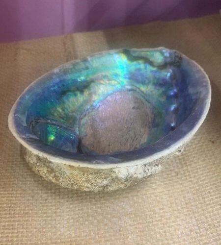 Sage Burner Abalone Shell